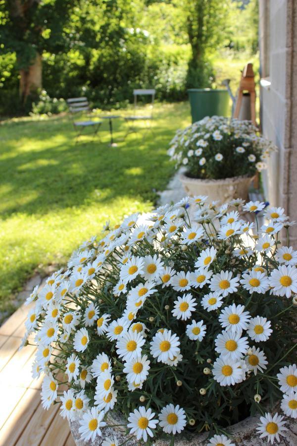 Paclera79 Bed & Breakfast Santa Maria Val Muestair Luaran gambar